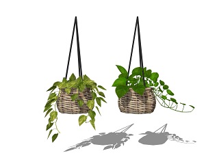 现代吊挂植物 绿植 吊篮盆栽