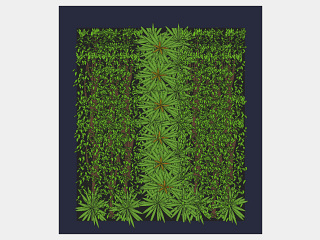 现代装饰植物 绿植墙组合 