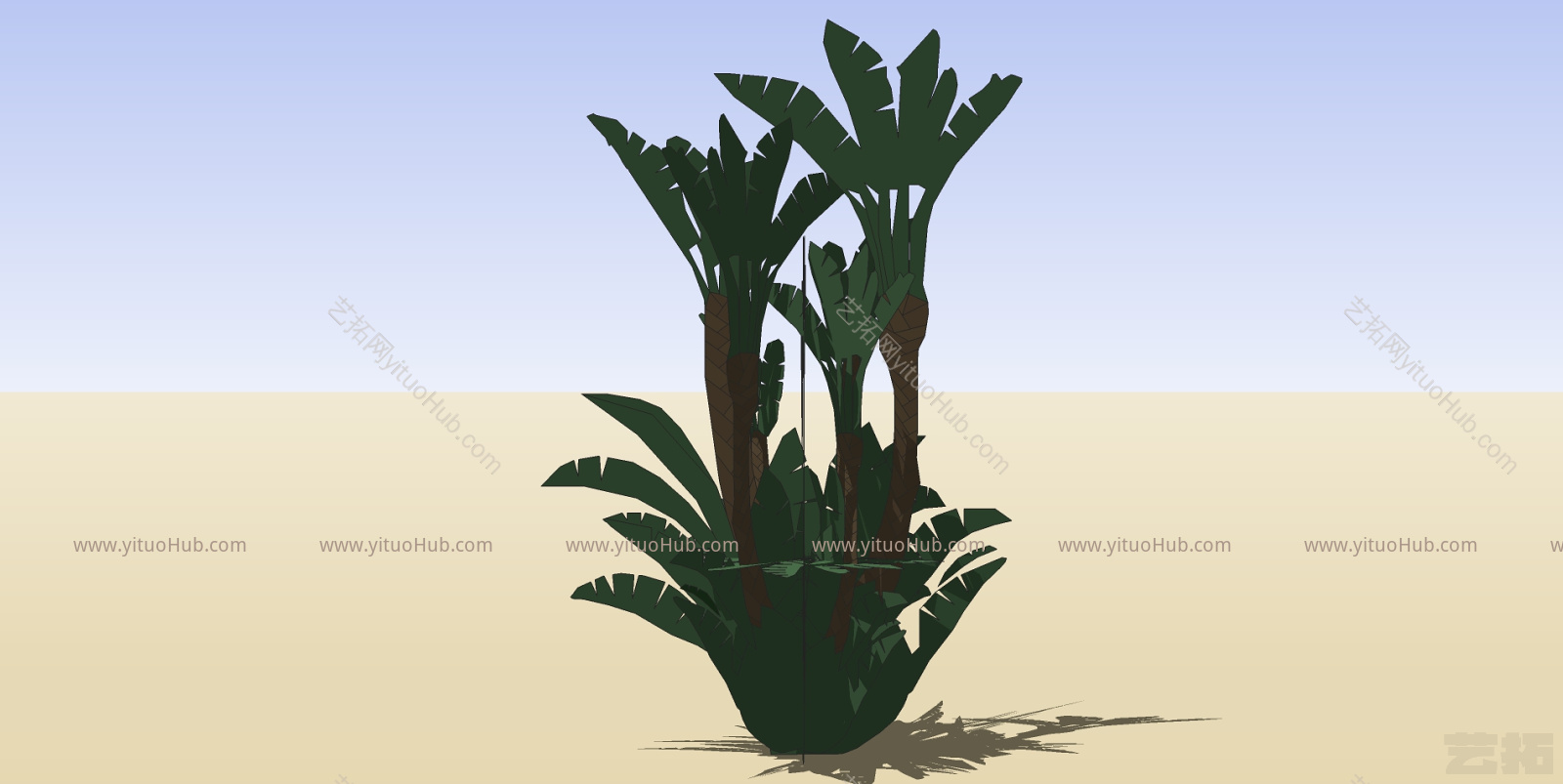 热带植物花模型