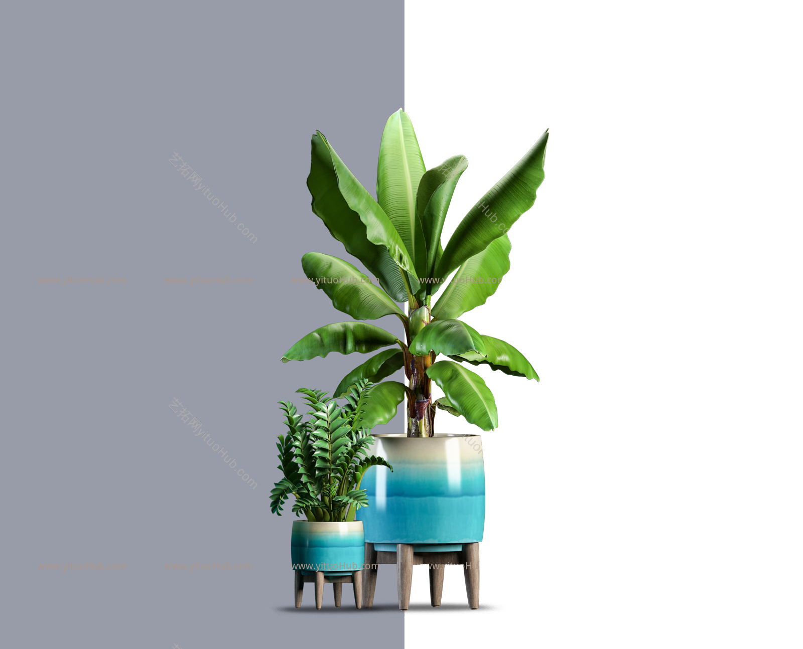 盆栽植物