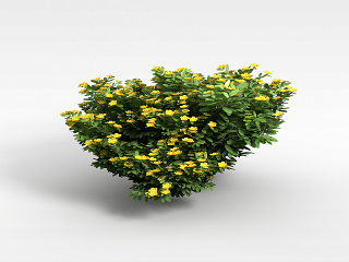 现代植物花树模型