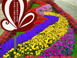 城市街景改造