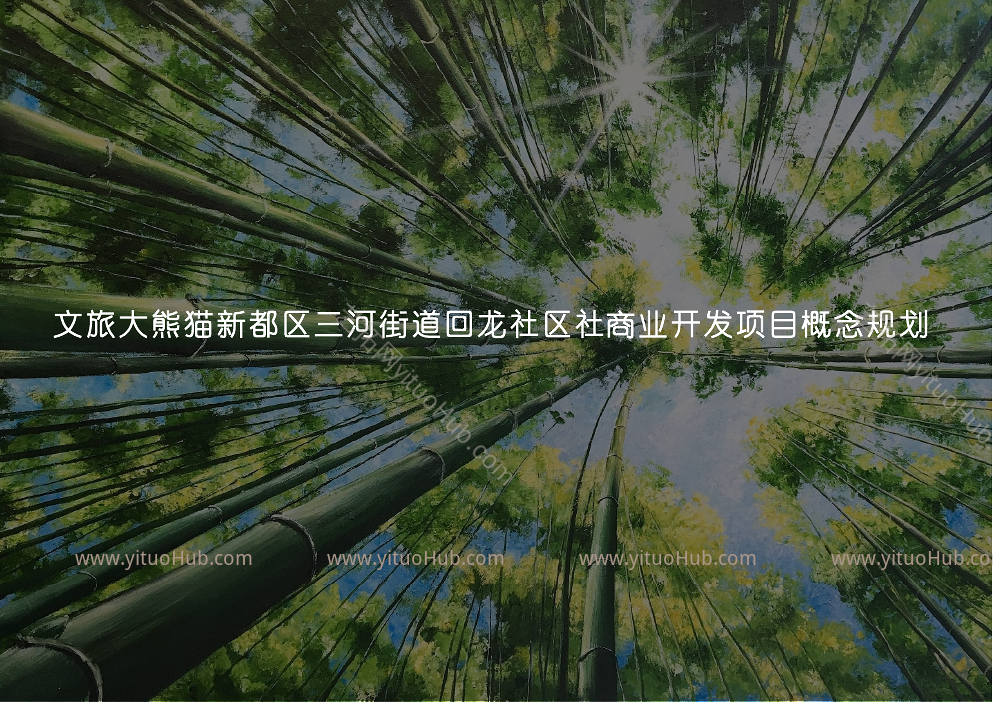 文旅大熊猫新都区三河街道回龙社区社商业开发项目概念规划