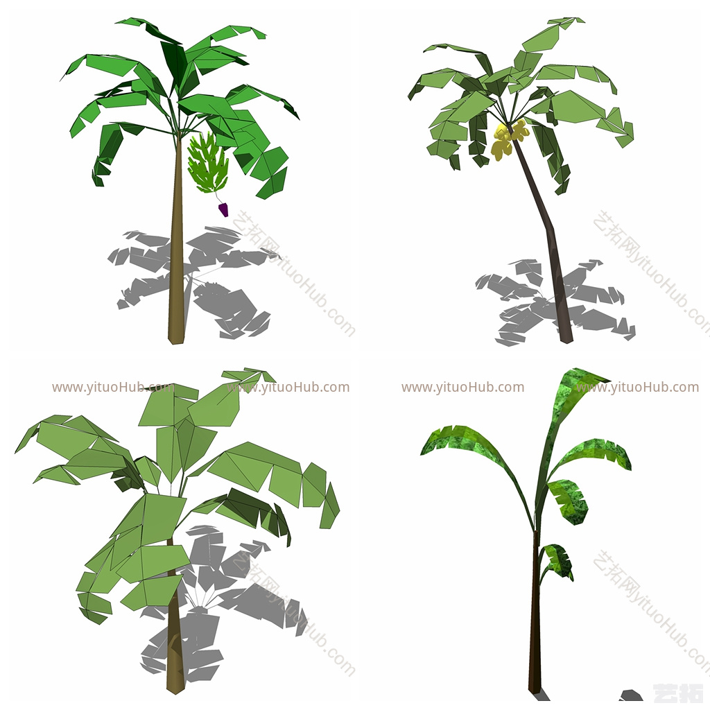 现代花草绿植画 其他 植物 钞票 花