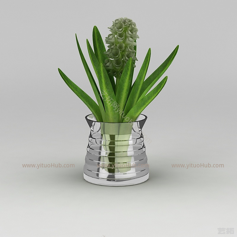 现代花盆绿植风信子模型