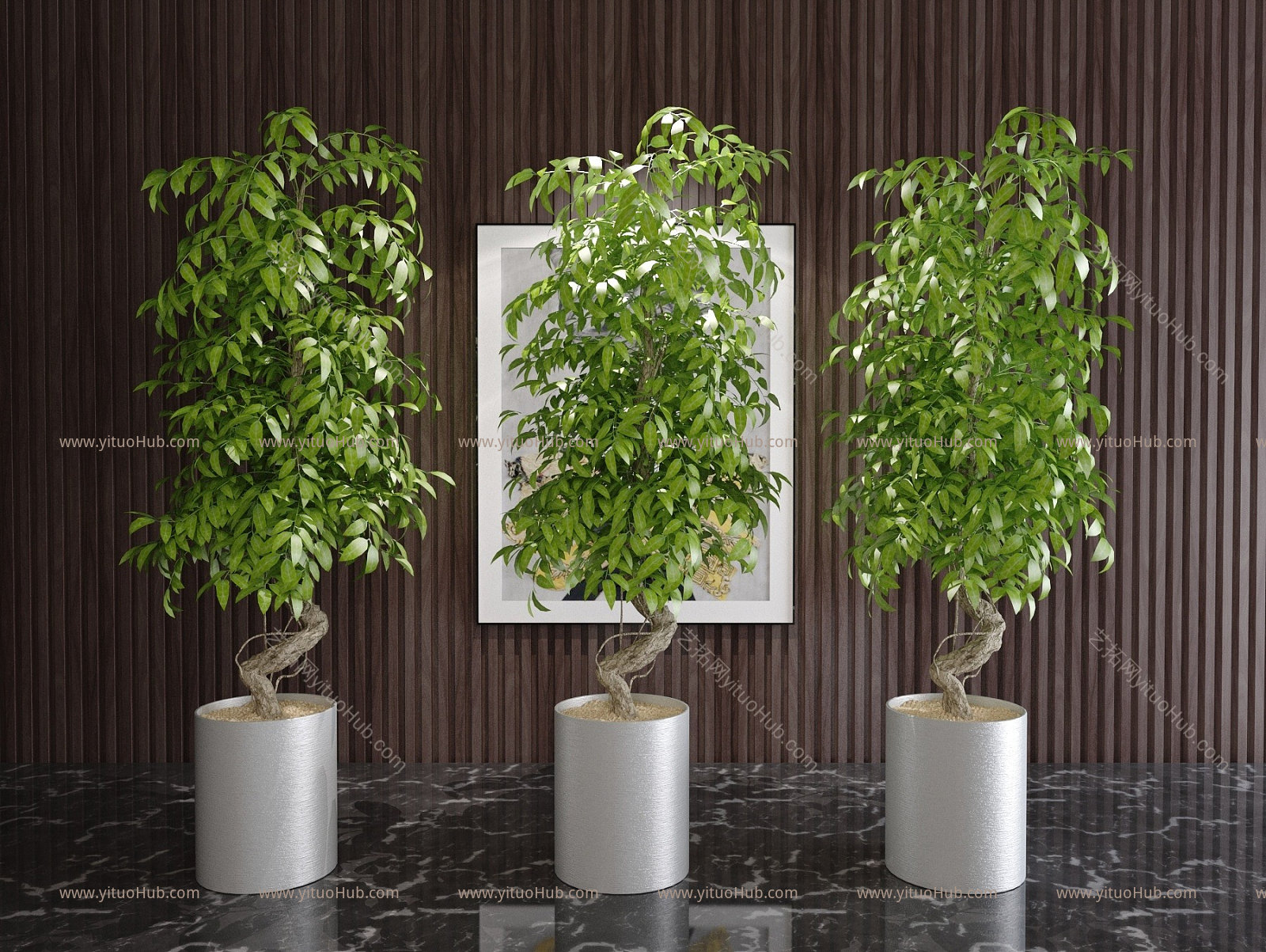 现代风格植物模型