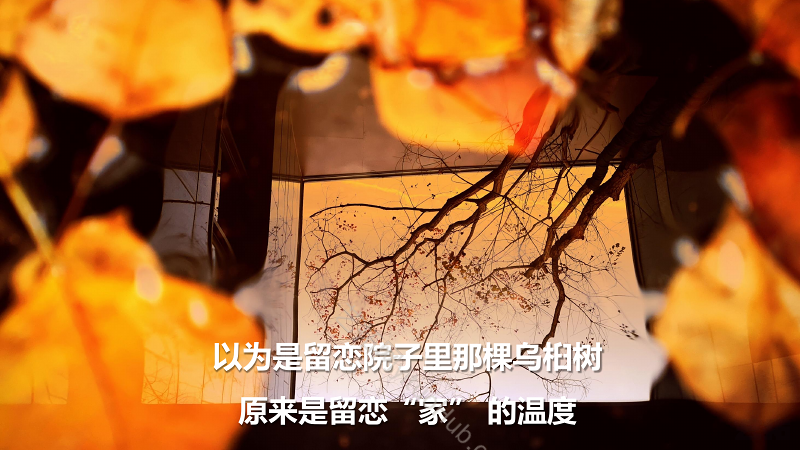 旭辉·识庐庭院景观设计方案
