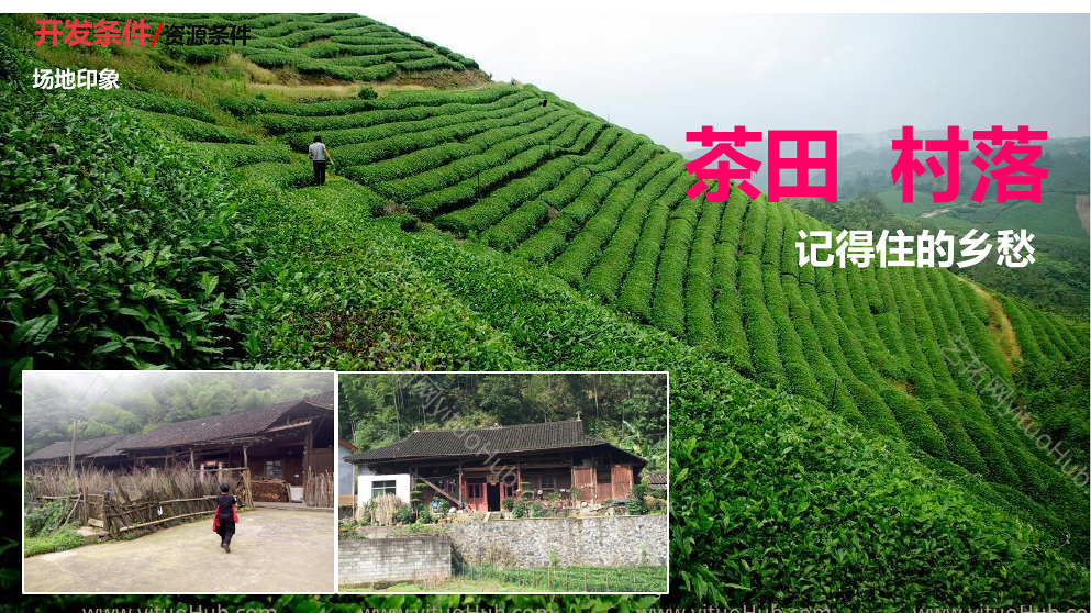 湖南桃花岛茶文化康养旅游度假区规划文本