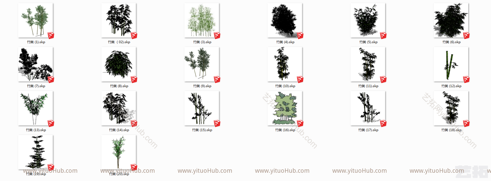 现代竹子植物