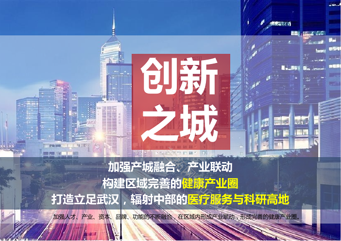 武汉环同济健康城产业空间及更新改造规划