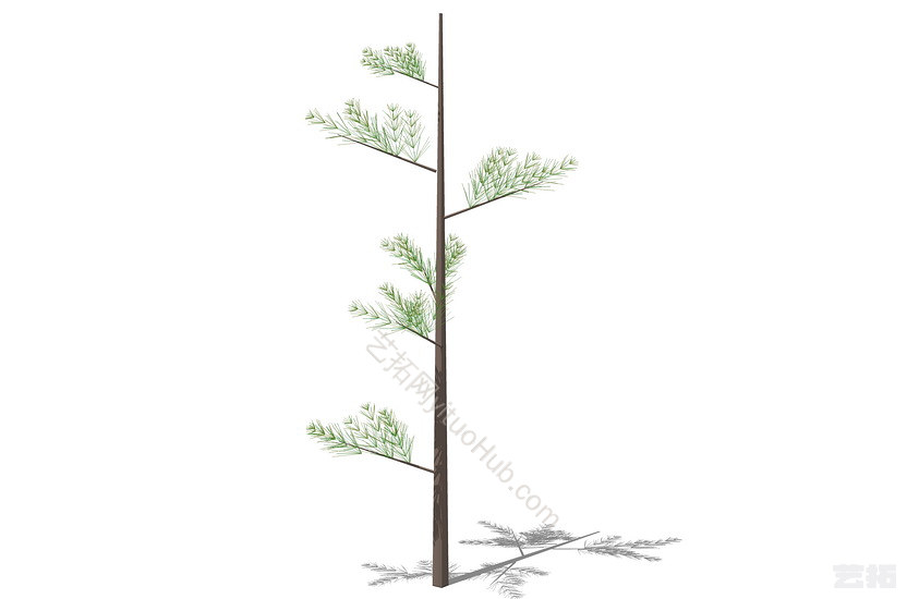 3D植物树