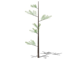 3D植物树