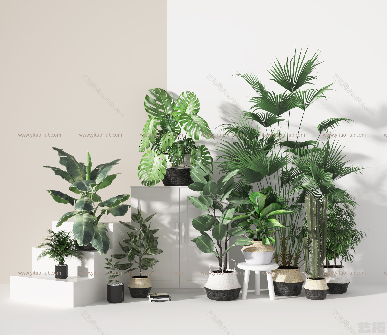 现代盆栽 植物 绿植