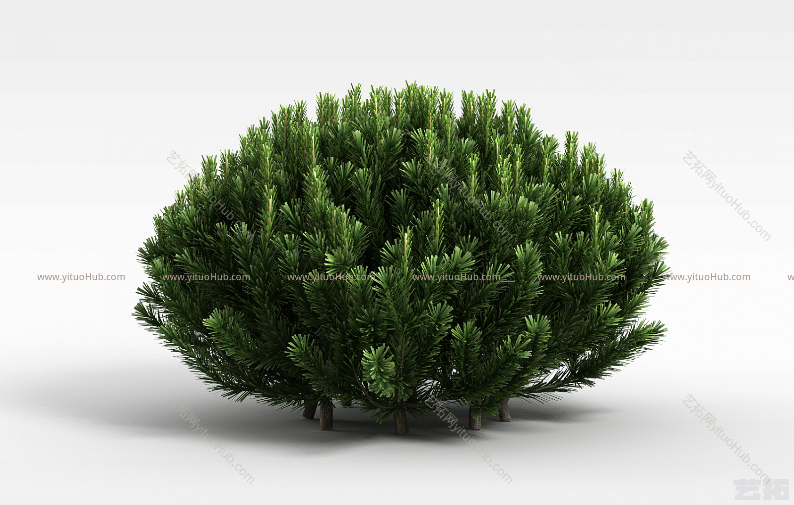现代常青植被模型