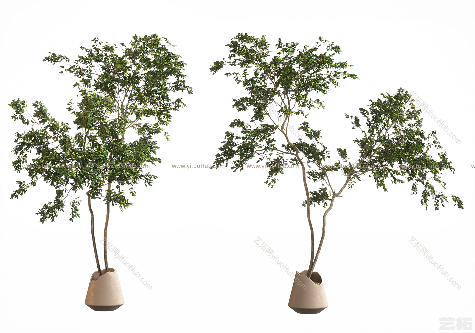 现代植物盆景盆栽 现代植物装饰摆件 现代植物树枝盆栽摆件