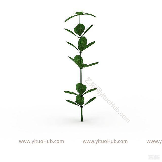 现代绿叶植物模型