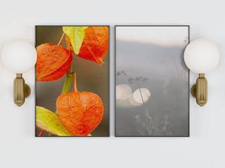 现代鲜花装饰画模型