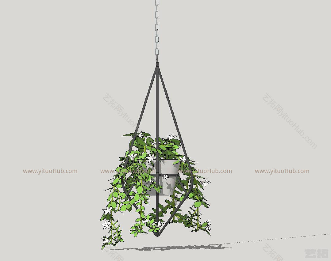 吊挂植物 花 饰品