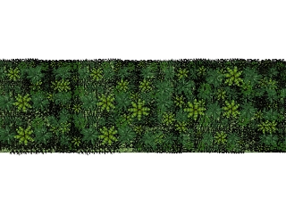 现代植物 装饰植物 绿植墙组合 