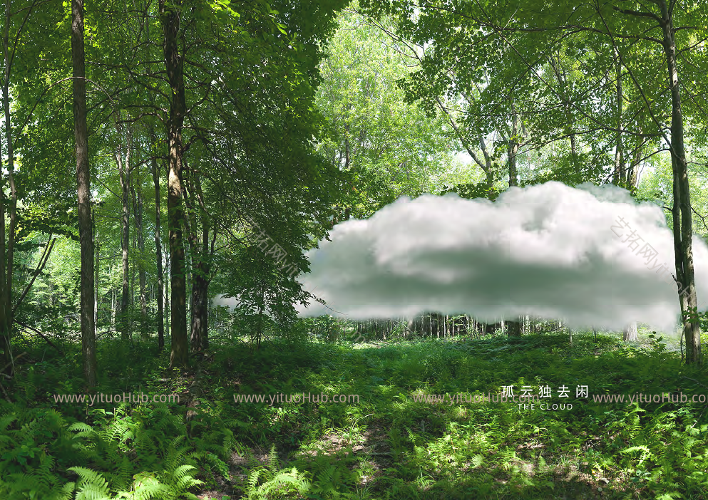 阿那亚云中心设计方案文本