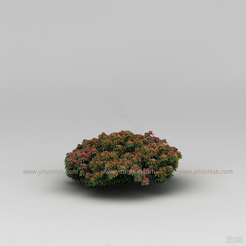 现代植物花草绿植模型