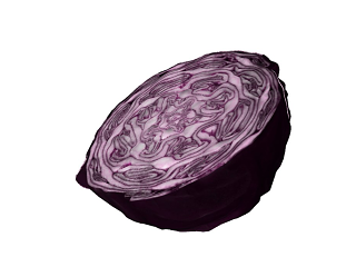 现代生鲜蔬菜