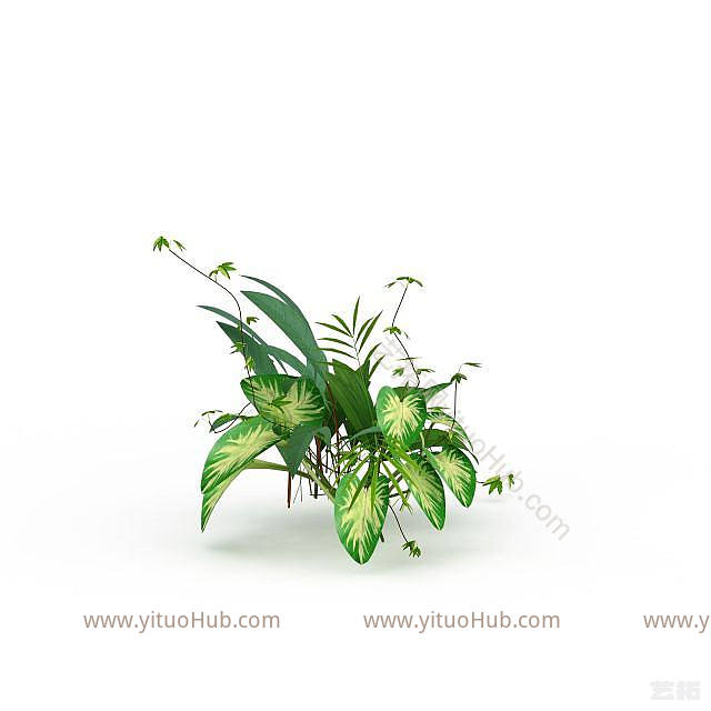 现代观赏花草模型