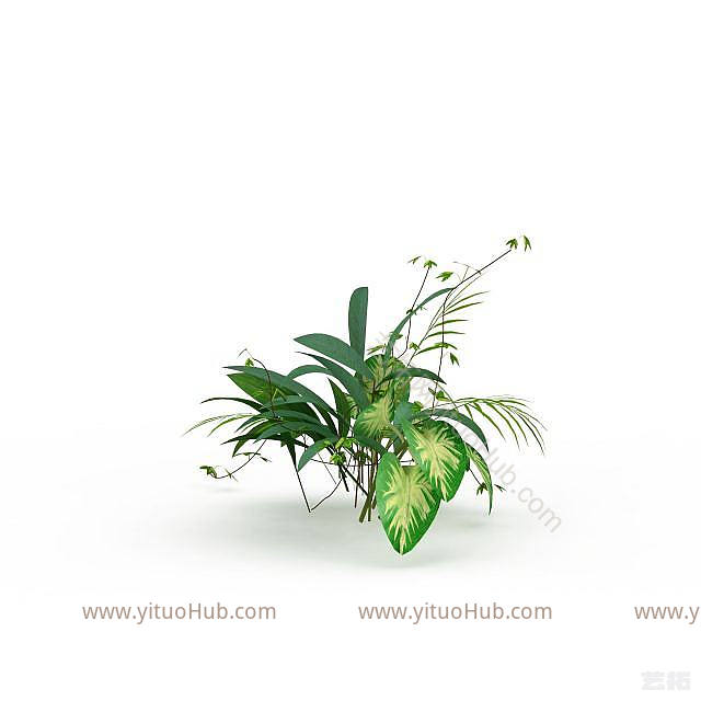 现代观赏花草模型