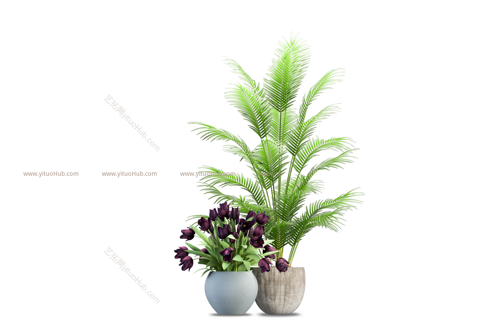 盆栽植物