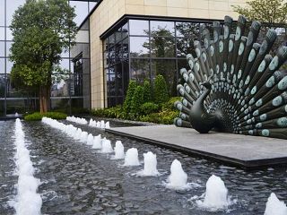 3D孔雀雕塑部品动物园 针鼹鼠 庭院 泳池 尖桩篱栅