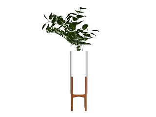 现代绿色植物盆栽