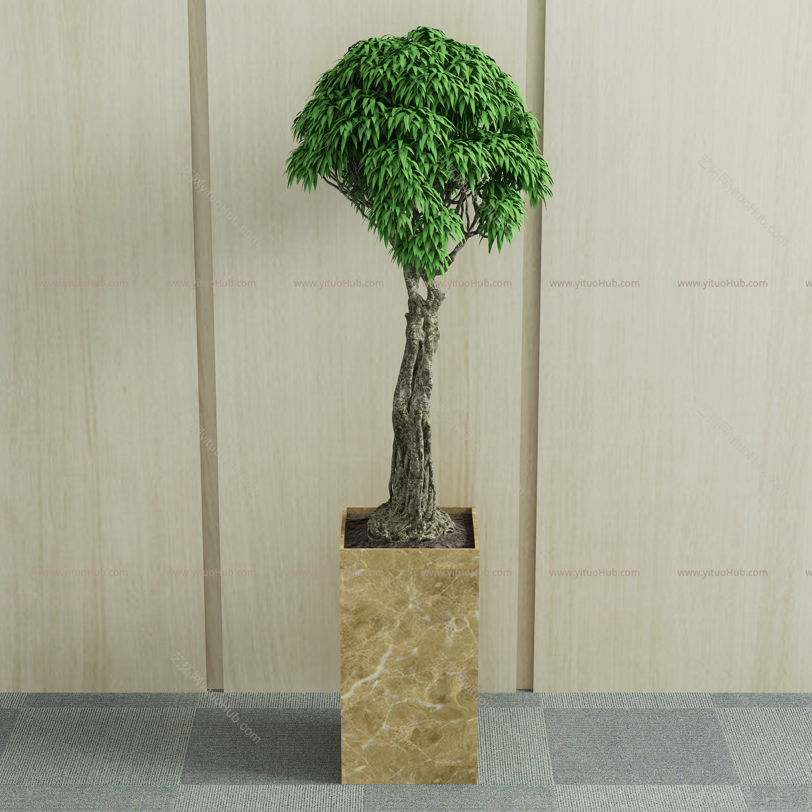 现代绿植 盆栽 植物
