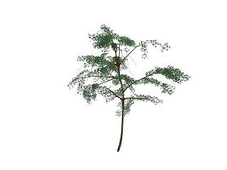 现代户外植物模型