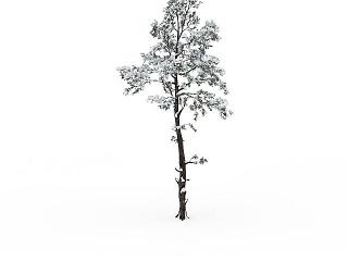现代冬天挂雪树木模型