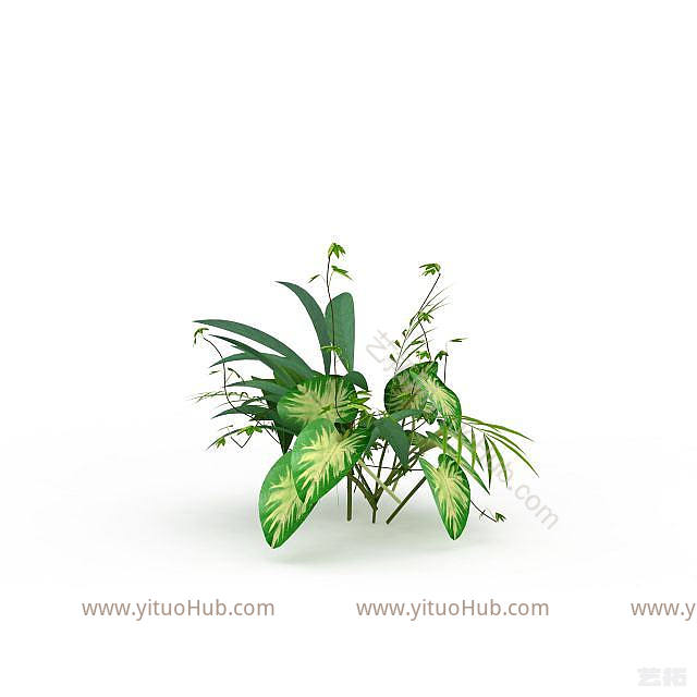 现代观赏花草模型