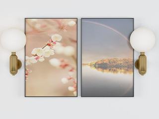 现代鲜花装饰画模型