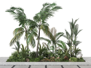 现代植物堆 绿植堆 植物