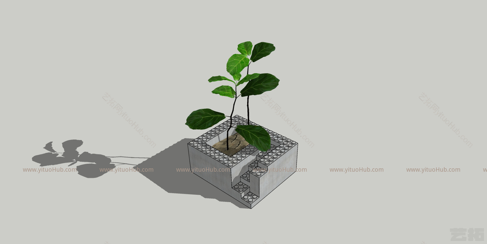 盆栽 绿植