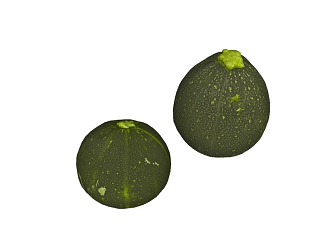 现代生鲜蔬菜