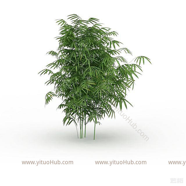 现代园林植物竹子模型