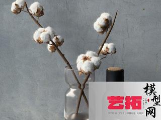 现代棉花装饰品