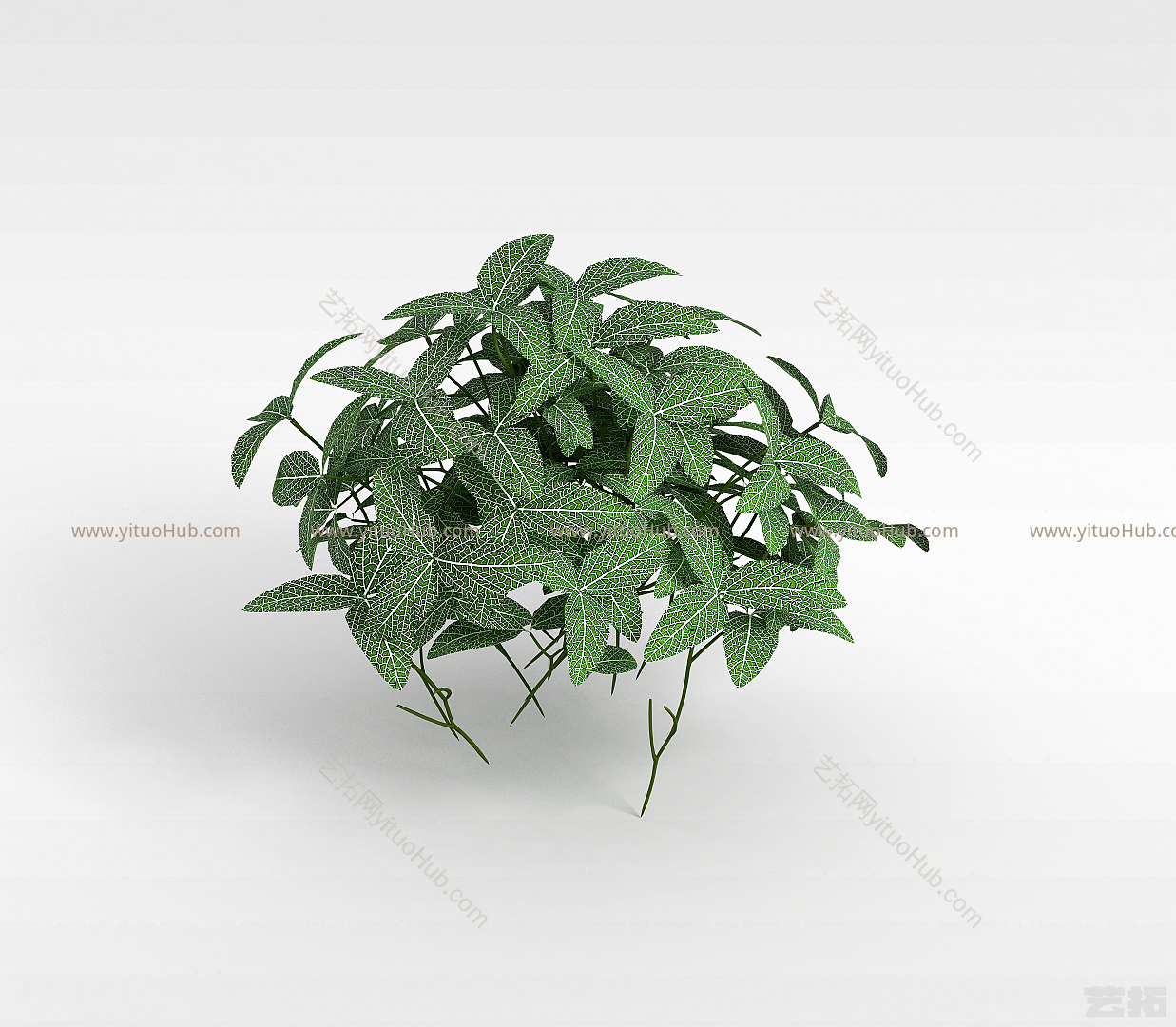 现代观叶植物模型