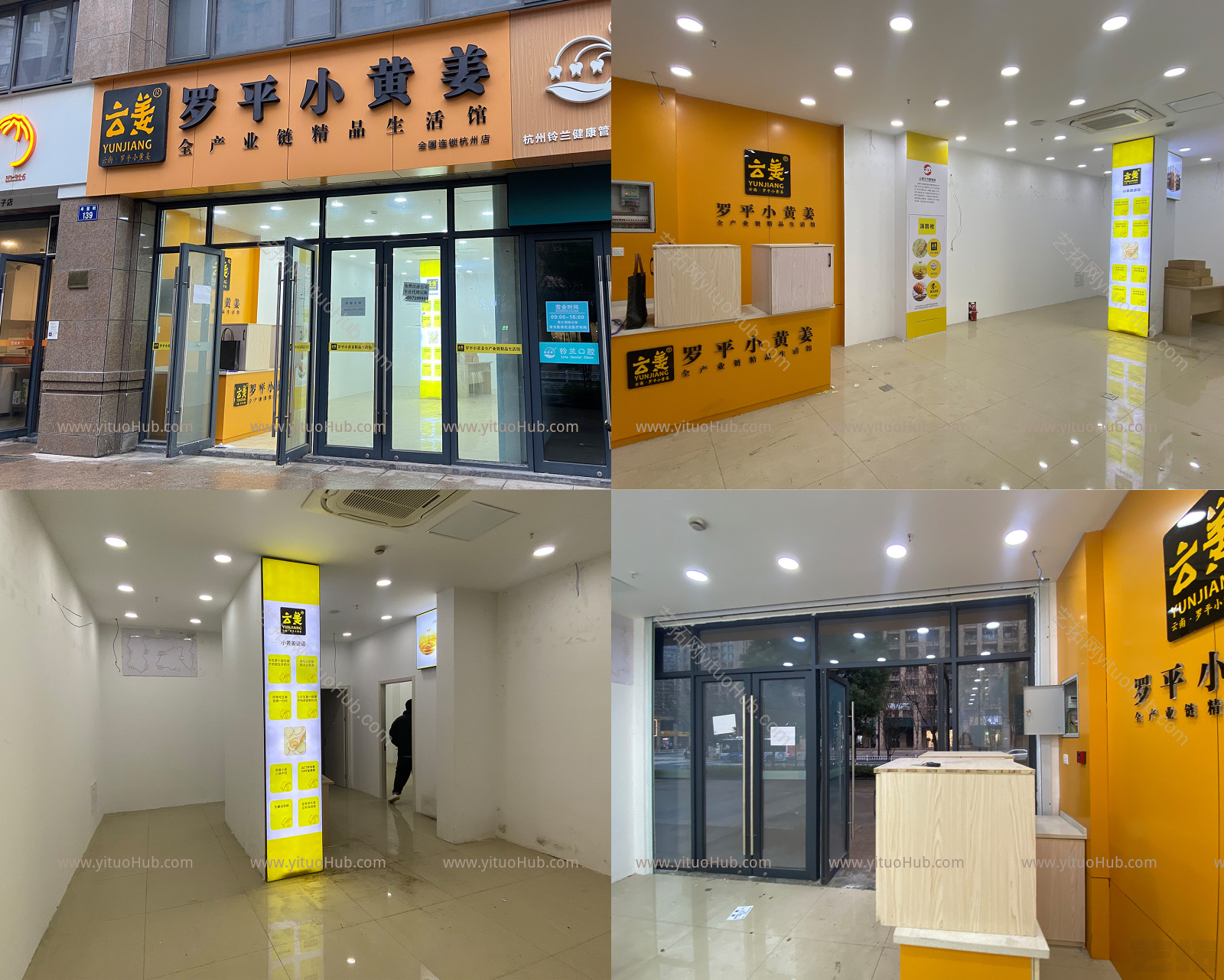 现代花店设计 