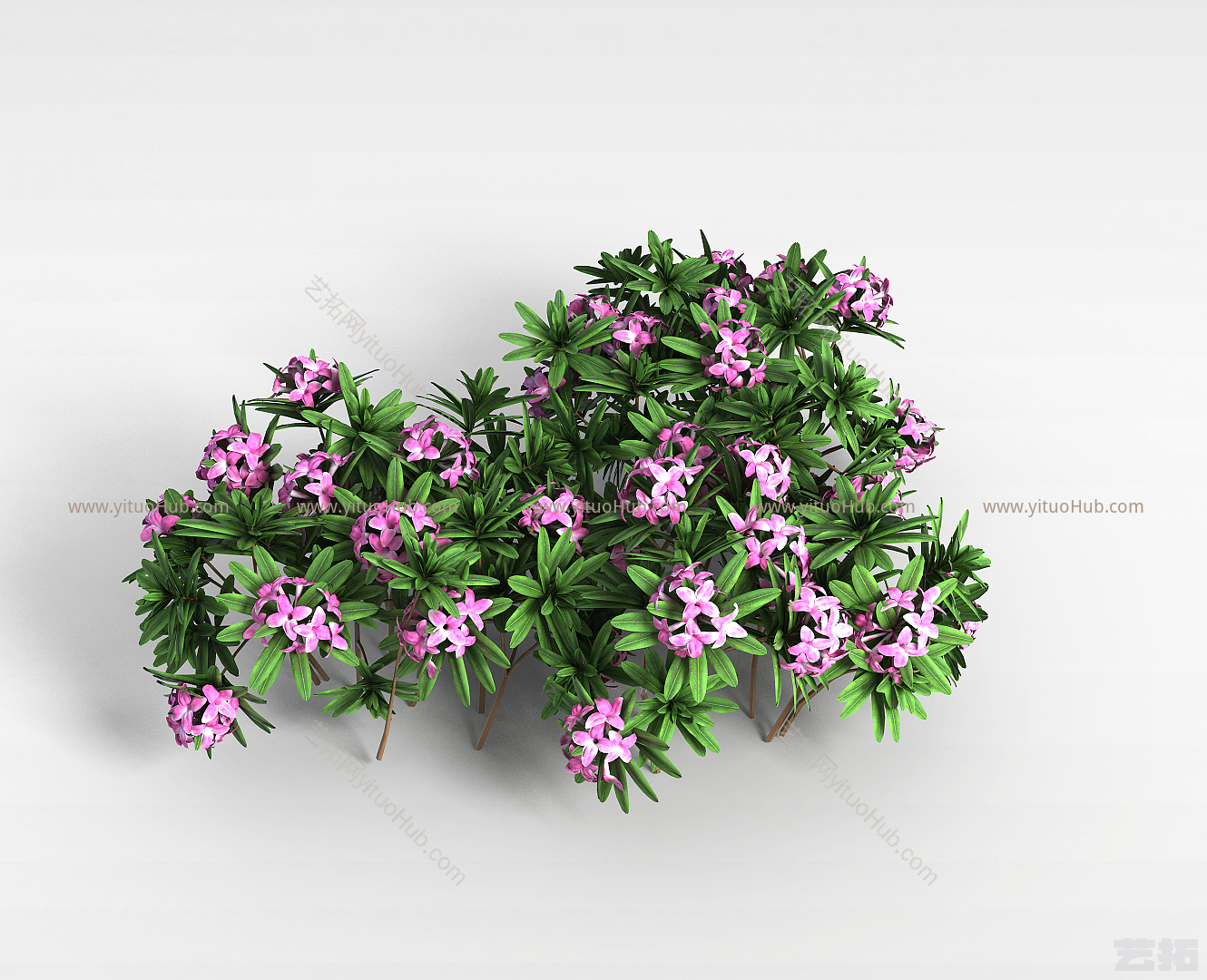 现代户外花草模型