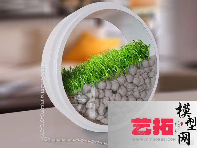 现代室内盆栽植物