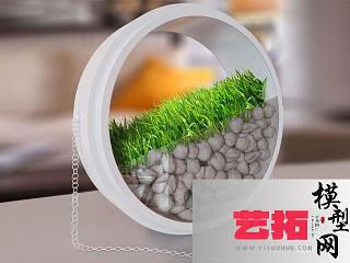 现代室内盆栽植物