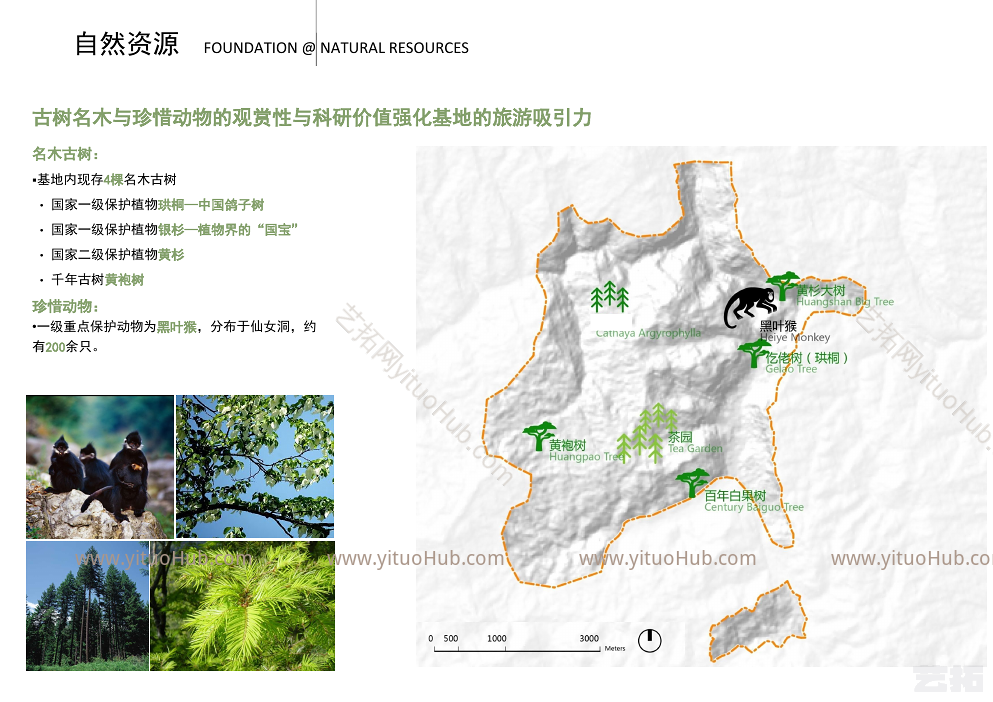 贵州道真县仡佬族旅游生态度假区概念规划