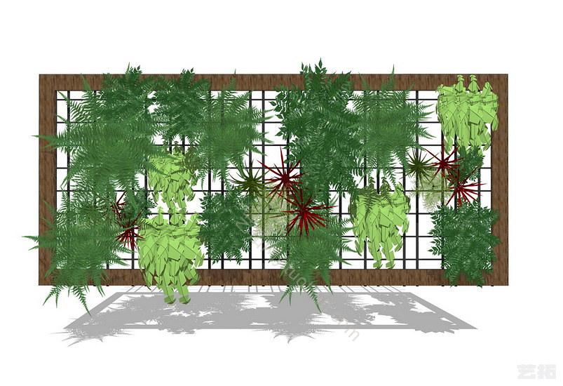 绿植墙