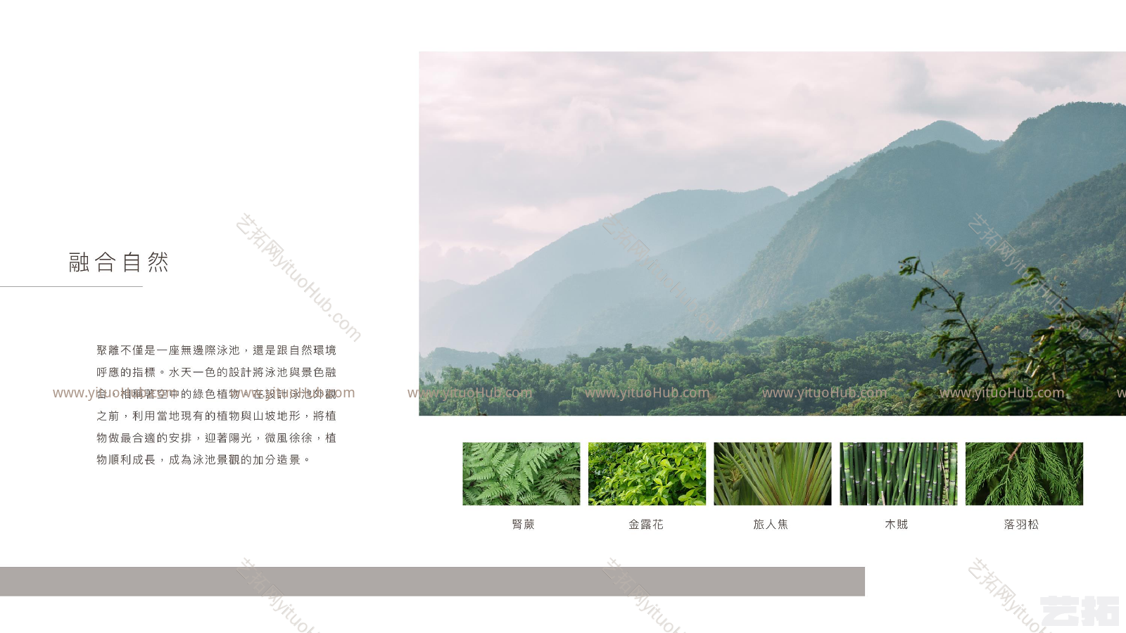 聚离度假旅游酒店景观设计