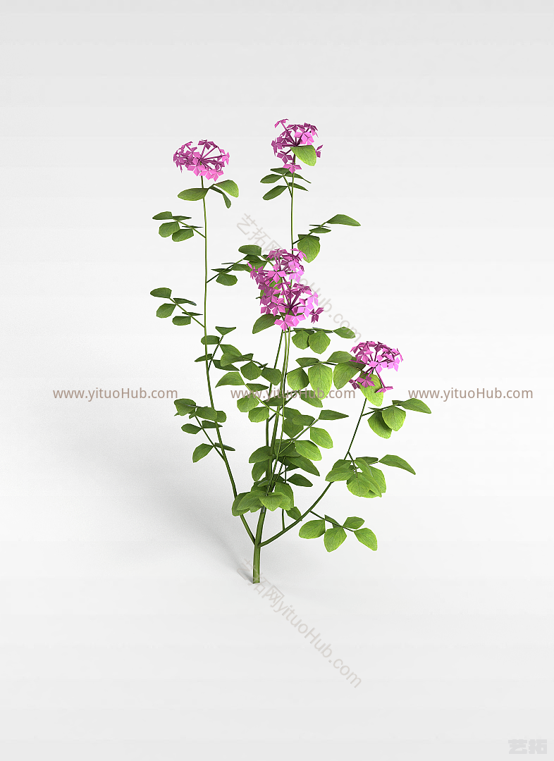 现代紫色花朵模型